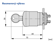 M22-PVS 216879 Hríbové tlačidlo núdzové, s kľúčom